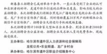 哈尔滨招聘网最新招聘信息,哈尔滨招聘网最新热招职位大盘点